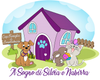 Il sogno di Silvia e Nabirra